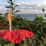 石垣島のおすすめ観光スポット：玉取崎展望台