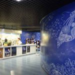 石垣島の美術館・博物館　星ノ海プラネタリウム