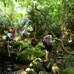 西表島おすすめツアー「PUMEHANA adventures」で大自然を満喫