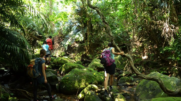西表島おすすめツアー「PUMEHANA adventures」で大自然を満喫
