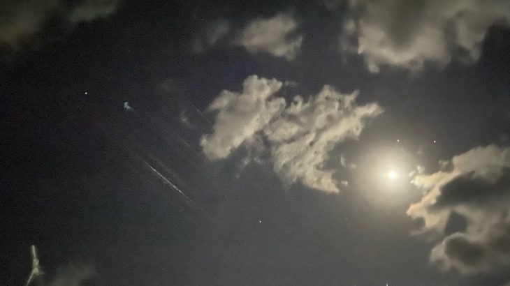 石垣島で見られる長寿星：カノープス