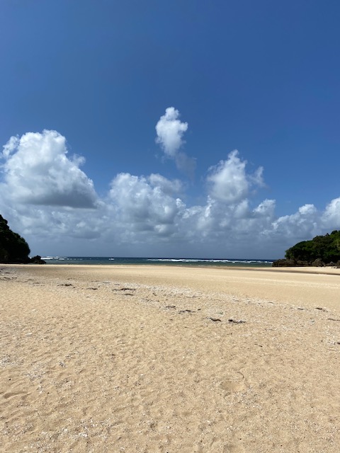 石垣島のクリスタルビーチで水晶を探そう | 八重山ブログライターズ